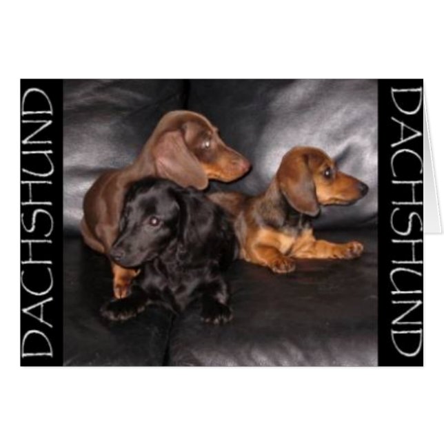 Cartão Olhe Para O Outro Lado (Frente Horizontal)