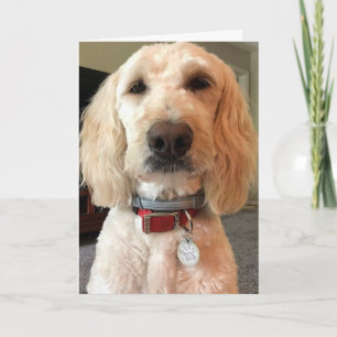 CARTÃO OLHE PARA OS MEUS OLHOS ***FELIZ ANIVERSÁRIO PARA