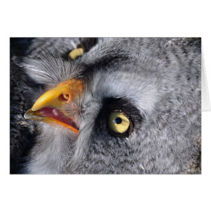 Cartão Olho assustador