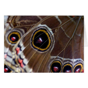 Cartão Olho Butterfly