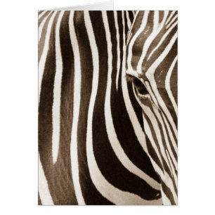 Cartão Olho da zebra