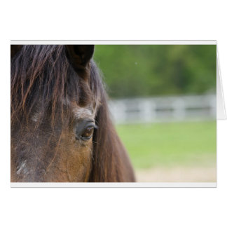 Cartão Olho de Emma