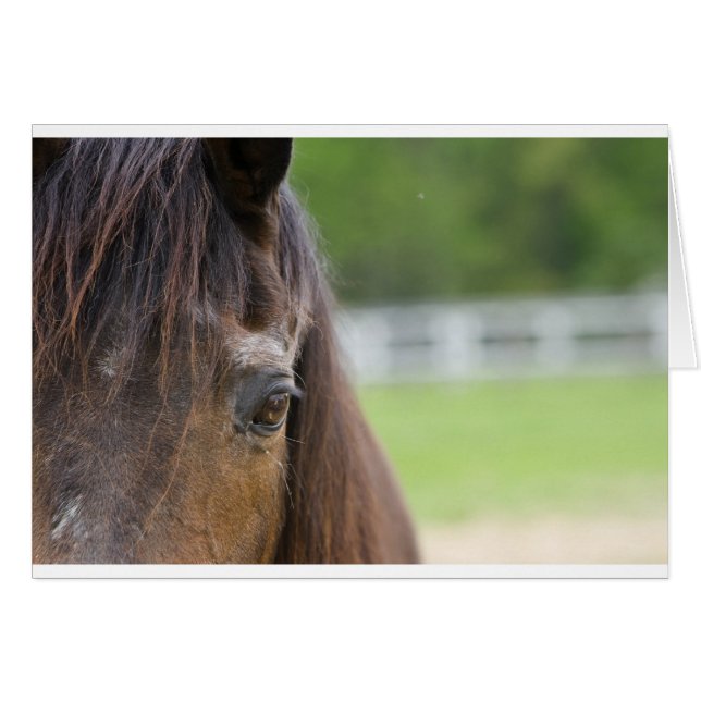 Cartão Olho de Emma (Frente horizontal)