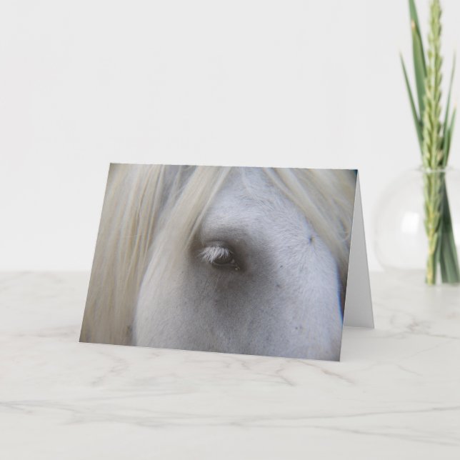 Cartão Olho de Fell Pony (Frente)