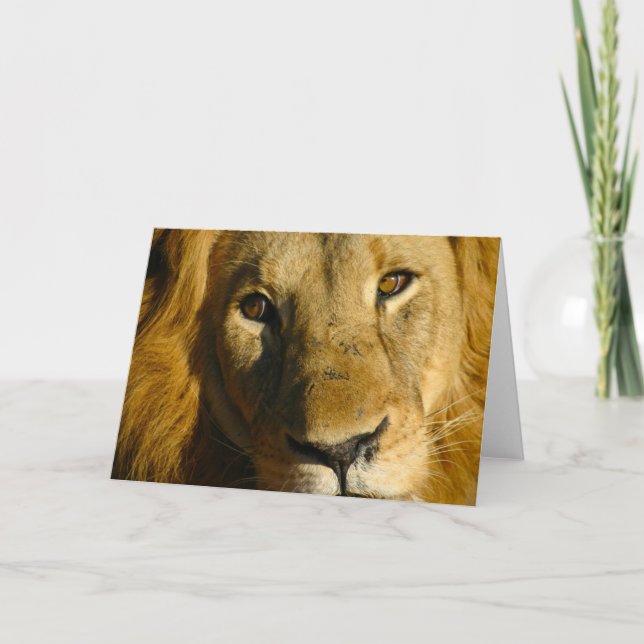 Cartão Olho de Shaka do leão (Frente)