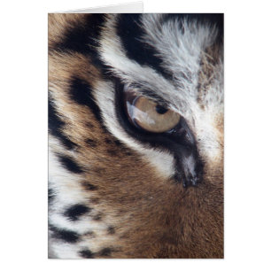 Cartão Olho de um Tigre