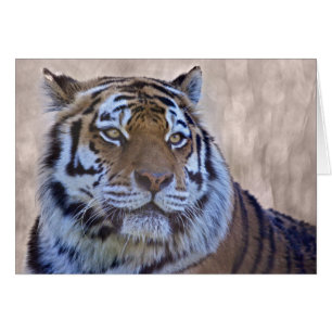 Cartão Olho do Tigre