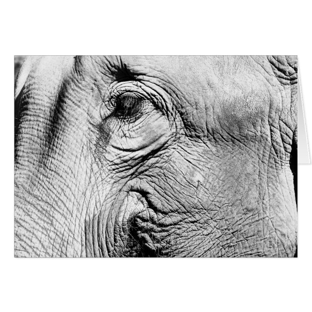 Cartão Olho dos elefantes, 2017 (Frente Horizontal)