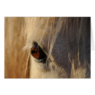 Cartão Olho dourado