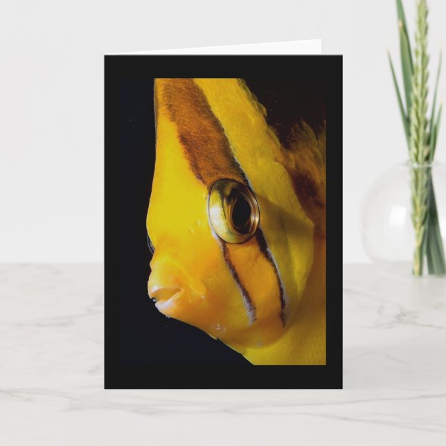 Cartão Olho para Olho (Frente)