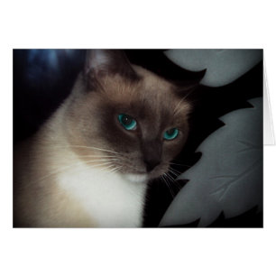 CARTÃO OLHOS AZUIS BELLA