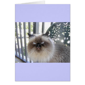 Cartão Olhos Azuis de Ole