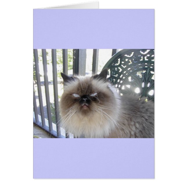 Cartão Olhos Azuis de Ole (Frente)