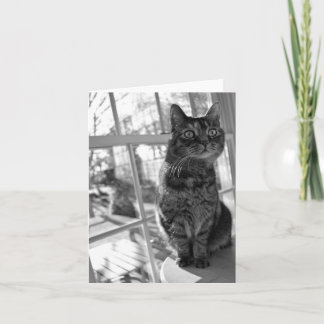 Cartão Olhos brilhantes Notecard do gatinho bonito