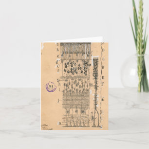 Cartão Olhos De Desenho Celular Retina Santiago Ramon Y C