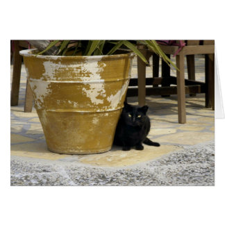 Cartão Olhos de gato