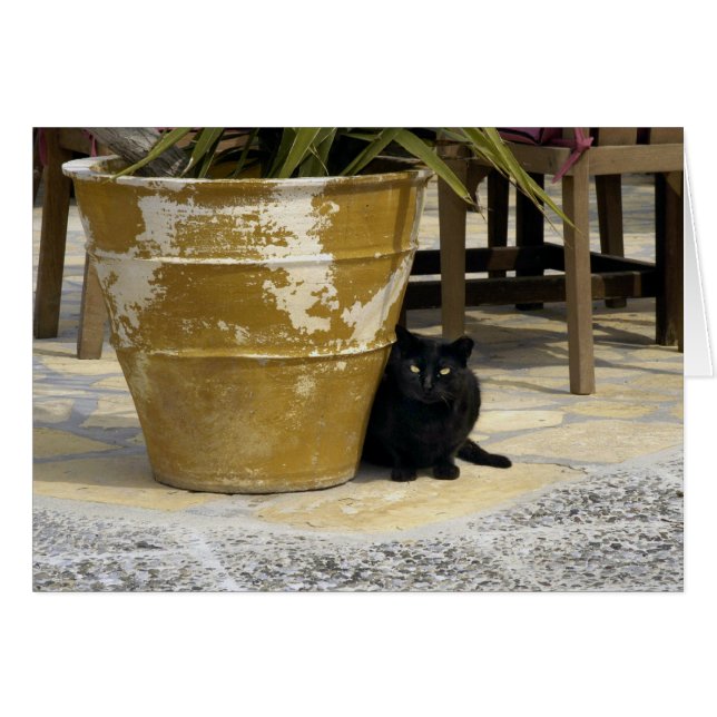 Cartão Olhos de gato (Frente Horizontal)