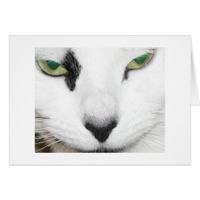 Cartão Olhos de Gato (Frente Horizontal)