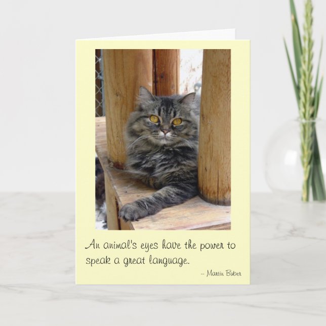 Cartão Olhos de Gypsy (Frente)