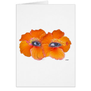 Cartão Olhos de Hibiscus - Laranja