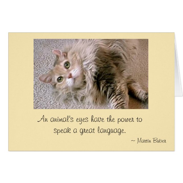 Cartão Olhos de Mattie (Frente Horizontal)