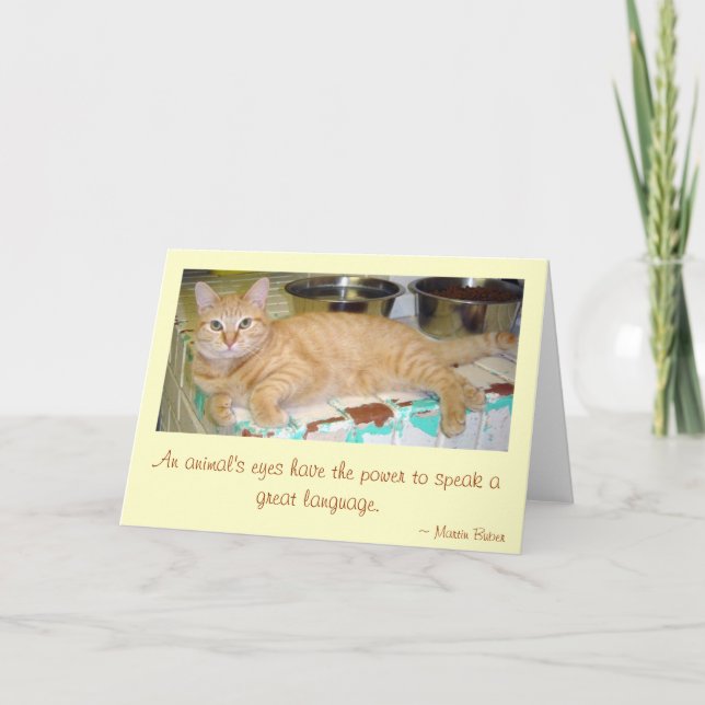 Cartão Olhos de um animal (Frente)