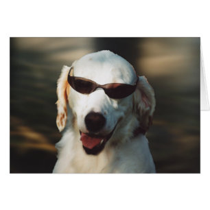 Cartão Olhos do anjo