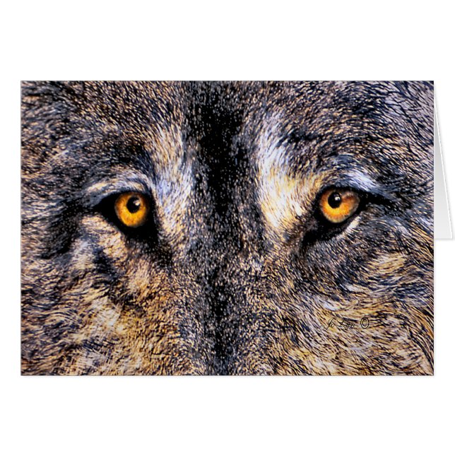 Cartão Olhos do lobo (Frente Horizontal)