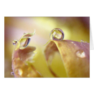 Cartão Olhos Na Placa Iris