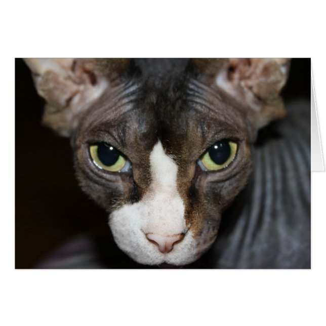 Cartão Olhos olhando para você! (Frente Horizontal)