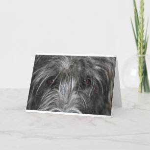 Cartão Olhos que mesmerizam