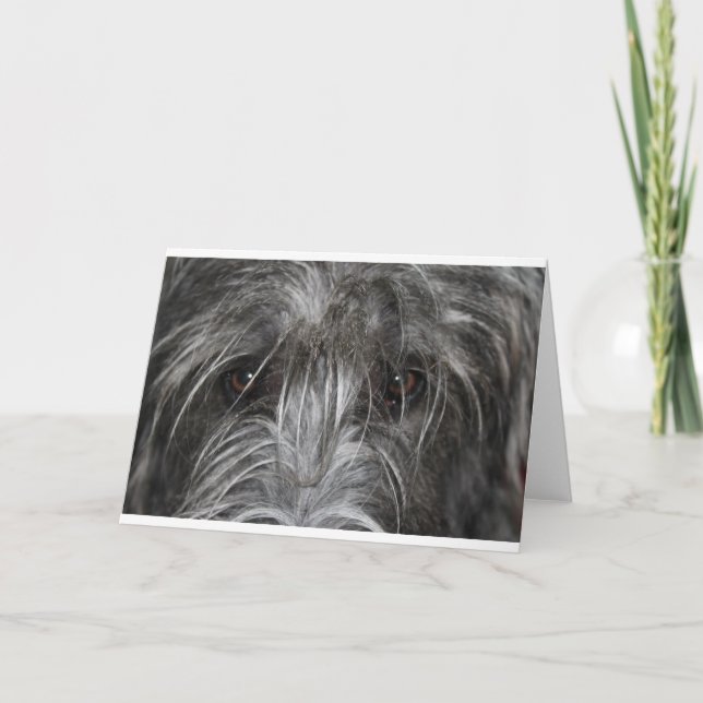 Cartão Olhos que mesmerizam (Frente)