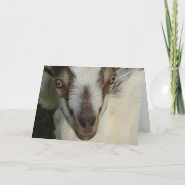 Cartão Olhos Vemo-Nos (Frente)