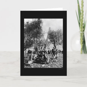 Cartão Olive Harvest Palestine 1886