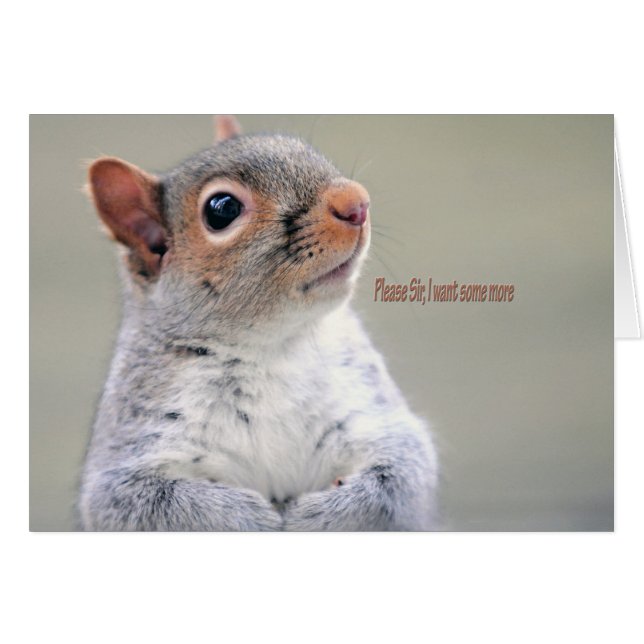 Cartão Oliver Twist Squirrel (Frente Horizontal)