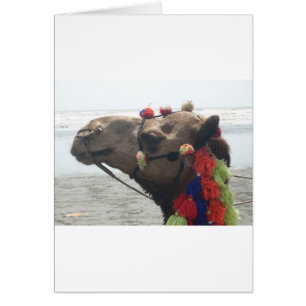 Cartão Oman! Muscat