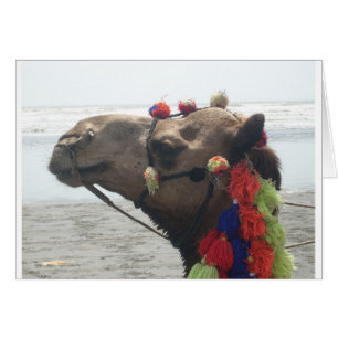 Cartão Oman! Muscat