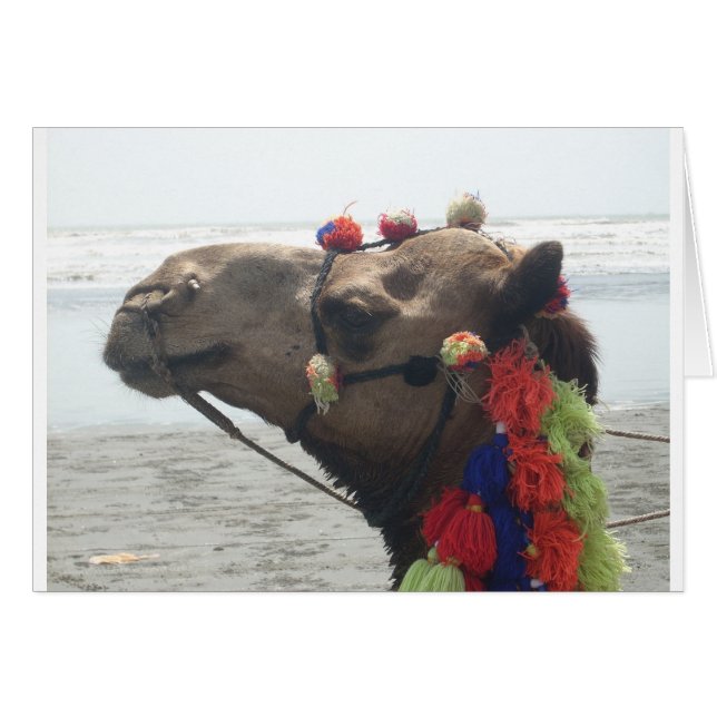 Cartão Oman! Muscat (Frente Horizontal)