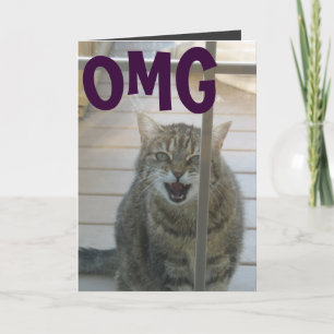Cartão omg cat happy birthday card
