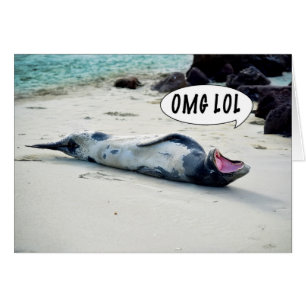 CARTÃO OMG LOL SEAL