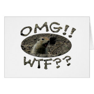 Cartão OMG WTF Gopher