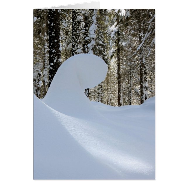 Cartão Onda de neve 2014 (Frente)