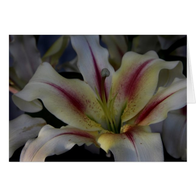 Cartão Ondas (Frente Horizontal)