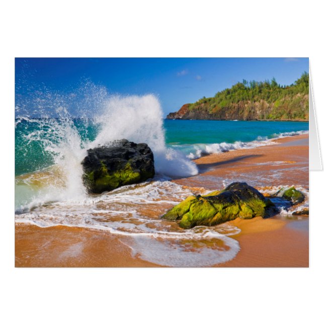 Cartão Ondas batem na praia, Havaí (Frente Horizontal)