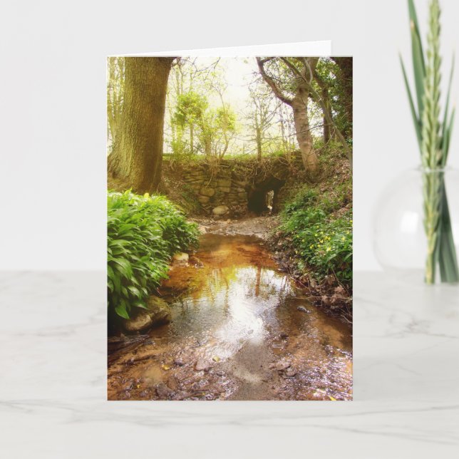 Cartão Onde as fadas brincam (Frente)