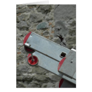 Cartão Onde está o fogo?