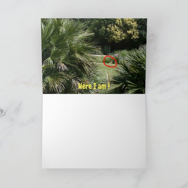 Cartão Onde estou? (Interior)