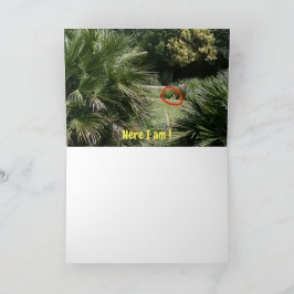 Cartão Onde estou? #5d Card