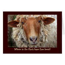 Onde no Flock esteve o Ewe?