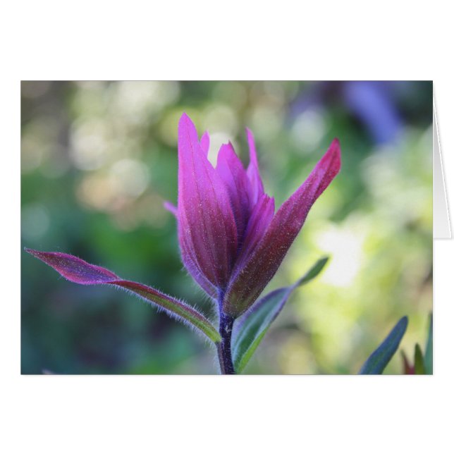 Cartão Onde o amor espera (Frente horizontal)